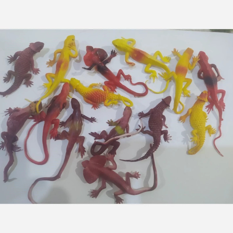 مارمولک جنس نرم ژله ای