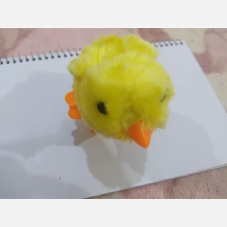 جوجه کوکی اصلی