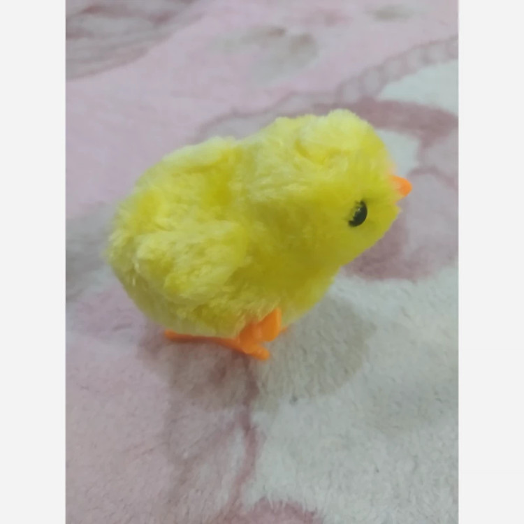 جوجه کوکی اصلی