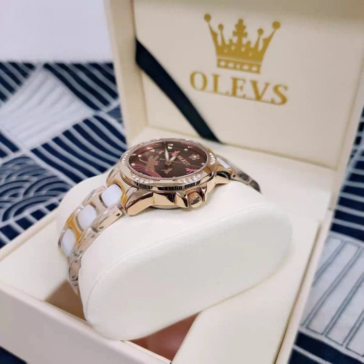 ساعت زنانه اتوماتیک برند الوز مدل 6610H olevs
