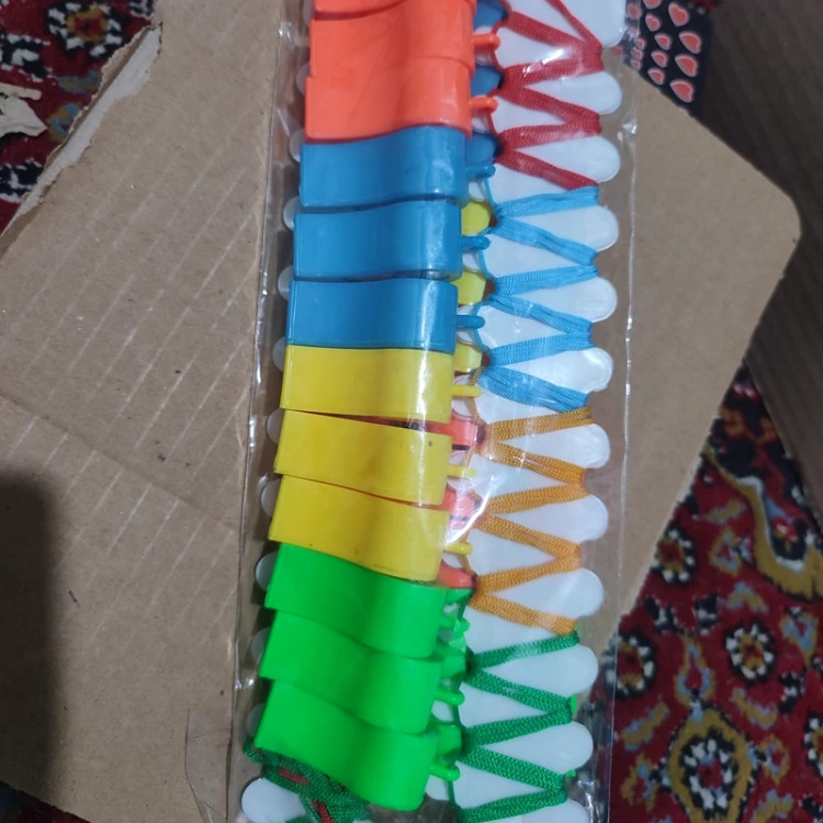سوت داوری ورزشی