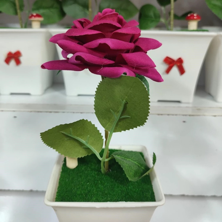 گلدان گل کاکتوس خارجی آپارتمانی ( خرید عمده و تکی گلدون گناوه مارکت )