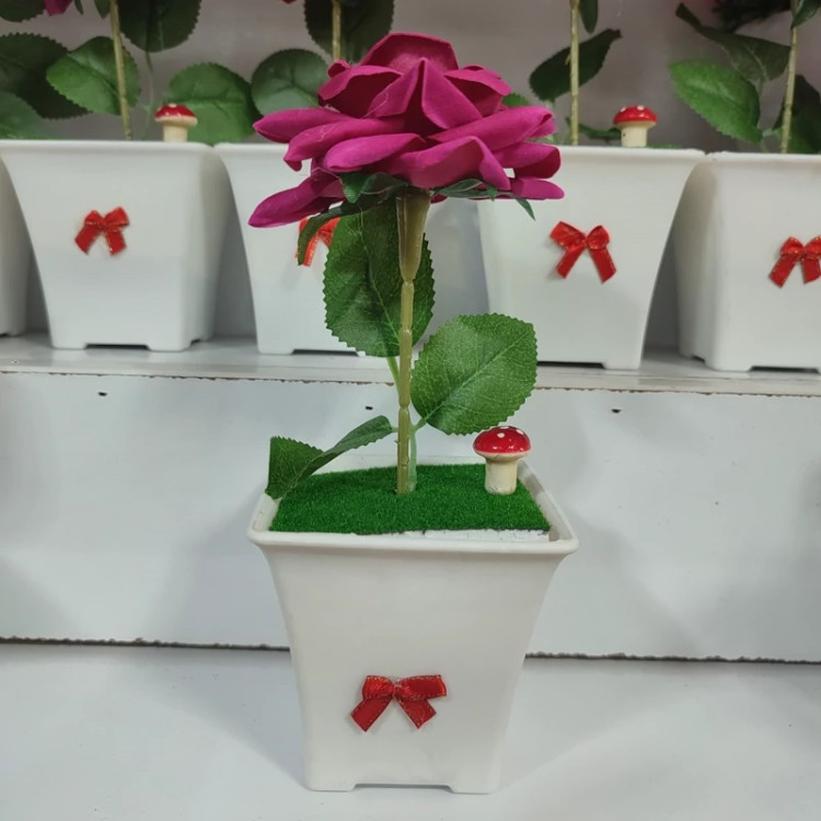 گلدان گل کاکتوس خارجی آپارتمانی ( خرید عمده و تکی گلدون گناوه مارکت )