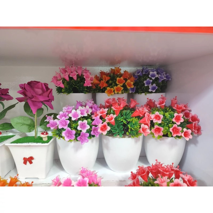 گلدان گل کاکتوس خارجی آپارتمانی ( خرید عمده و تکی گلدون گناوه مارکت )