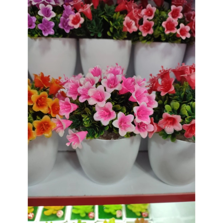 گلدان گل کاکتوس خارجی آپارتمانی ( خرید عمده و تکی گلدون گناوه مارکت )