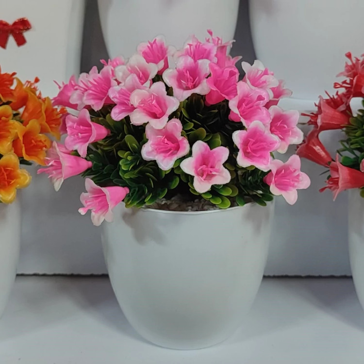 گلدان گل رز خارجی آپارتمانی ( خرید عمده و تکی گلدون گناوه مارکت )