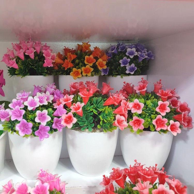 گلدان گل رز خارجی آپارتمانی ( خرید عمده و تکی گلدون گناوه مارکت )