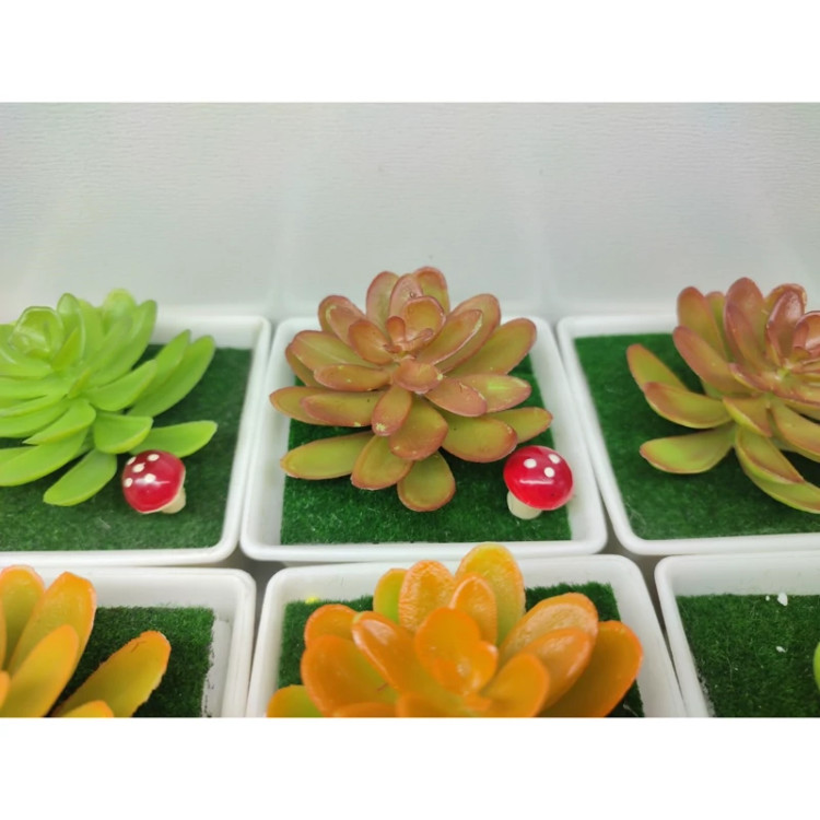 گلدان گل بونسای خارجی آپارتمانی ( خرید عمده و تکی گلدون گناوه مارکت )1