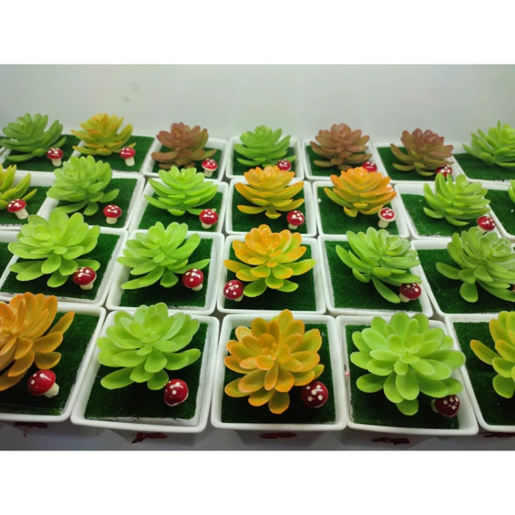 گلدان گل بونسای خارجی آپارتمانی ( خرید عمده و تکی گلدون گناوه مارکت )1