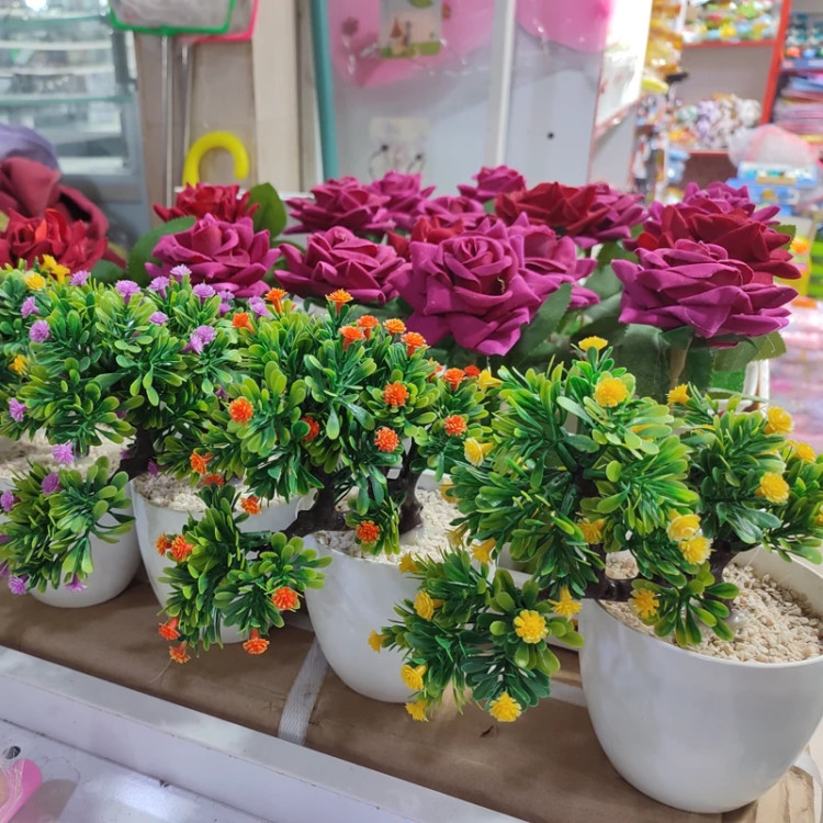 گلدان گل بونسای خارجی آپارتمانی ( خرید عمده و تکی گلدون گناوه مارکت )