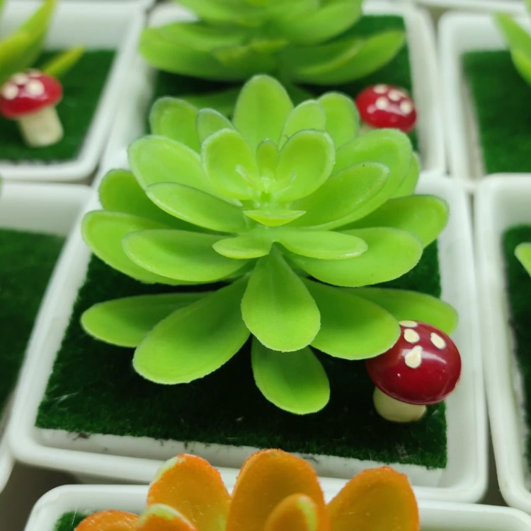 گلدان گل بونسای خارجی آپارتمانی ( خرید عمده و تکی گلدون گناوه مارکت )