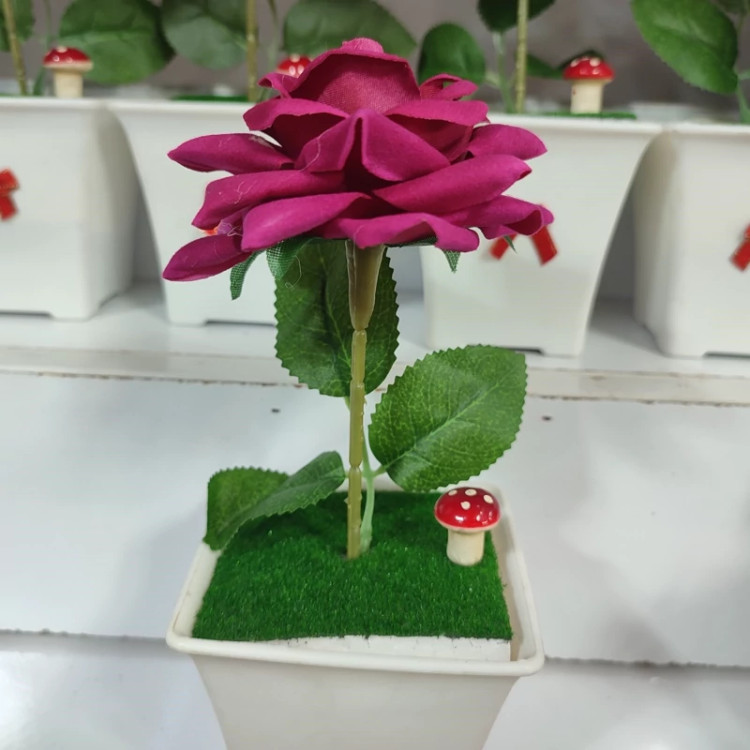 گلدان گل بونسای خارجی آپارتمانی ( خرید عمده و تکی گلدون گناوه مارکت )