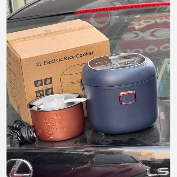 برنج ساز 2 لیتری مسافرتی RISE COOKER