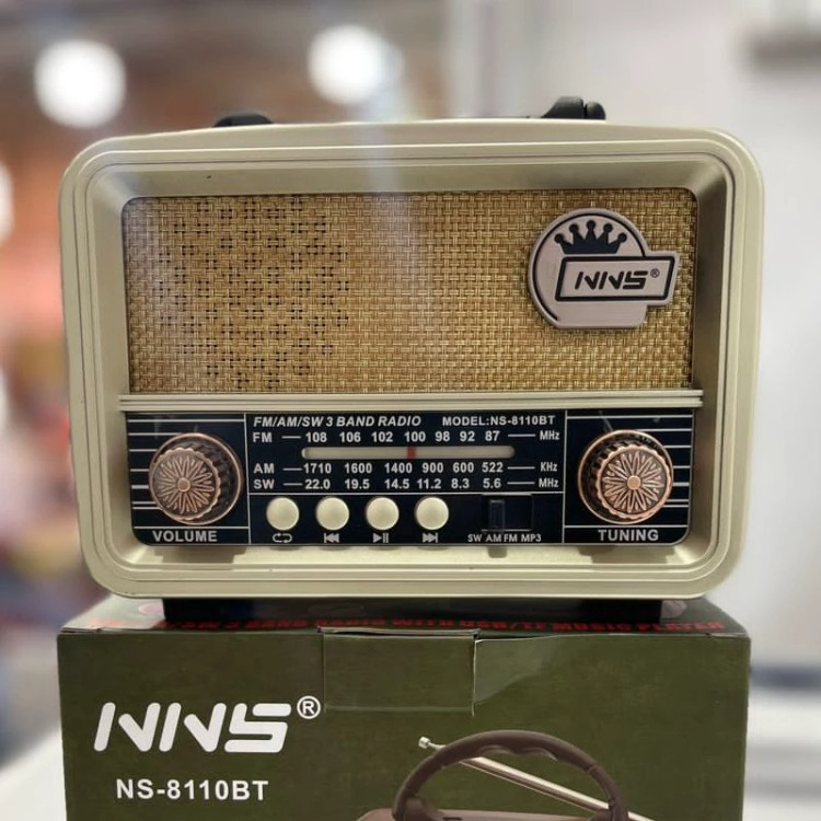 اسپیکر کلاسیک BT-8110