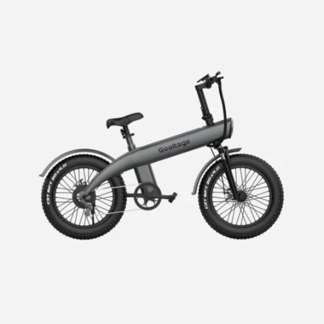 دوچرخه برقی گلتیج مدل EBK01 EcoMotion
