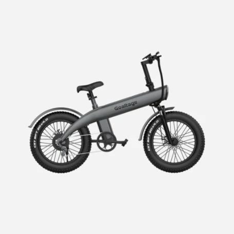دوچرخه برقی گلتیج مدل EBK01 EcoMotion
