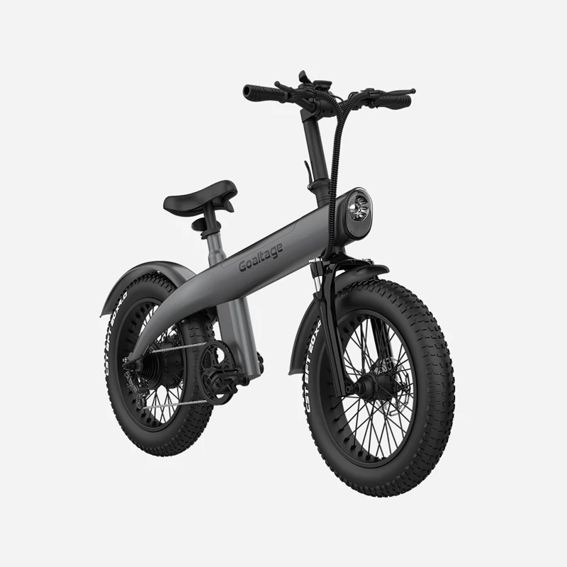 دوچرخه برقی گلتیج مدل EBK01 EcoMotion