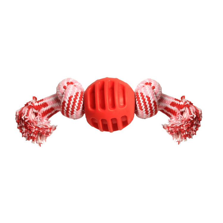 دندانی سگ مدل شکلات