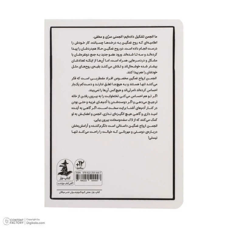 کتاب انجمن ارواح غمگین 2 اثر لیز مدینگز نشر میلکان