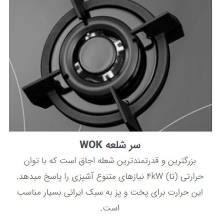 اجاق گاز صفحه ای استیل البرز مدل G-5954i
