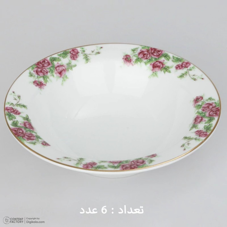 سرویس غذاخوری 28 پارچه چینی زرین ایران سری ایتالیا اف مدل Bidgol درجه یک
