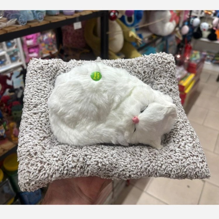 عروسک گربه خوابیده 25سانتی موزیکال(پس کرایه)