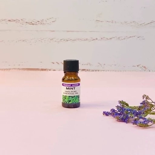 اسانس عطری خوشبو کننده محیط و بخور سرد