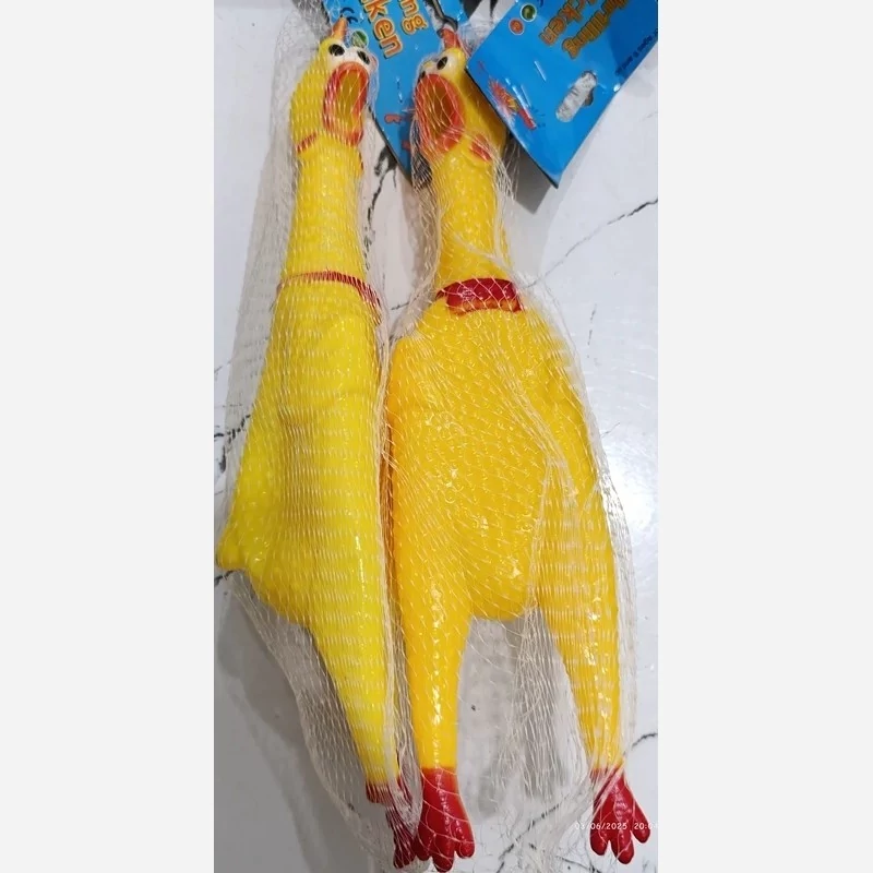 اسباب بازی مرغ نالان/سایز2/