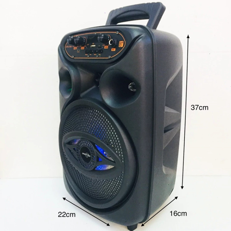 اسپیکر چمدونی قابل حمل GTS-1700