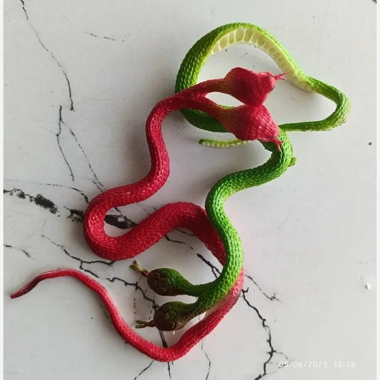 مار دوسر ژله ای/ 2 عددی/