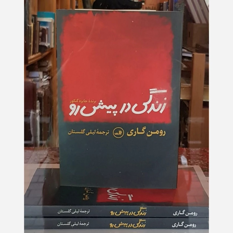 زندگی در پیش رو (رومن گاری) لیلی گلستان نشر ثالث