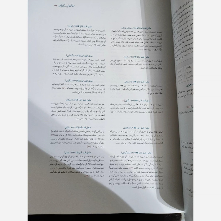 کتاب تخت جمشید قابدار (بنا ها، نقشه ها) اثر اریش ف اشمیت نشر علمی و فرهنگی