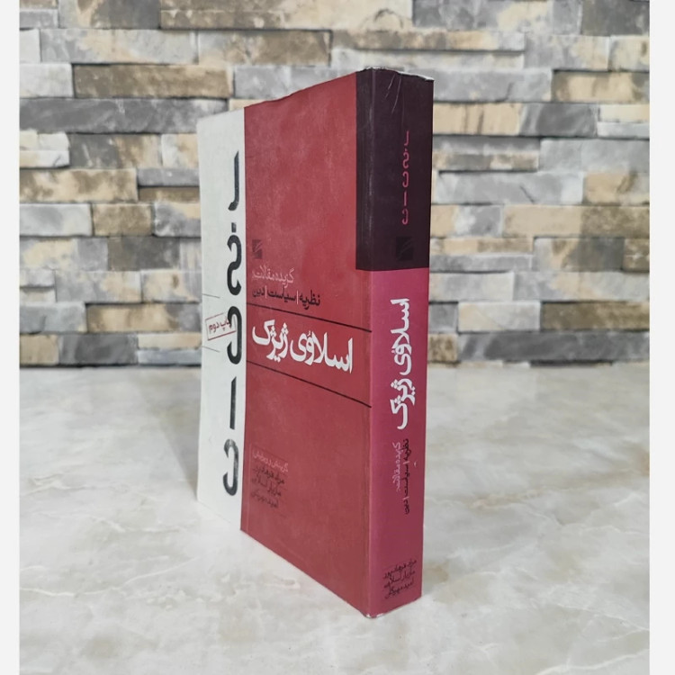 اسلاوی ژیژک گزیده مقالات (گام نو)(نایاب و قدیمی)