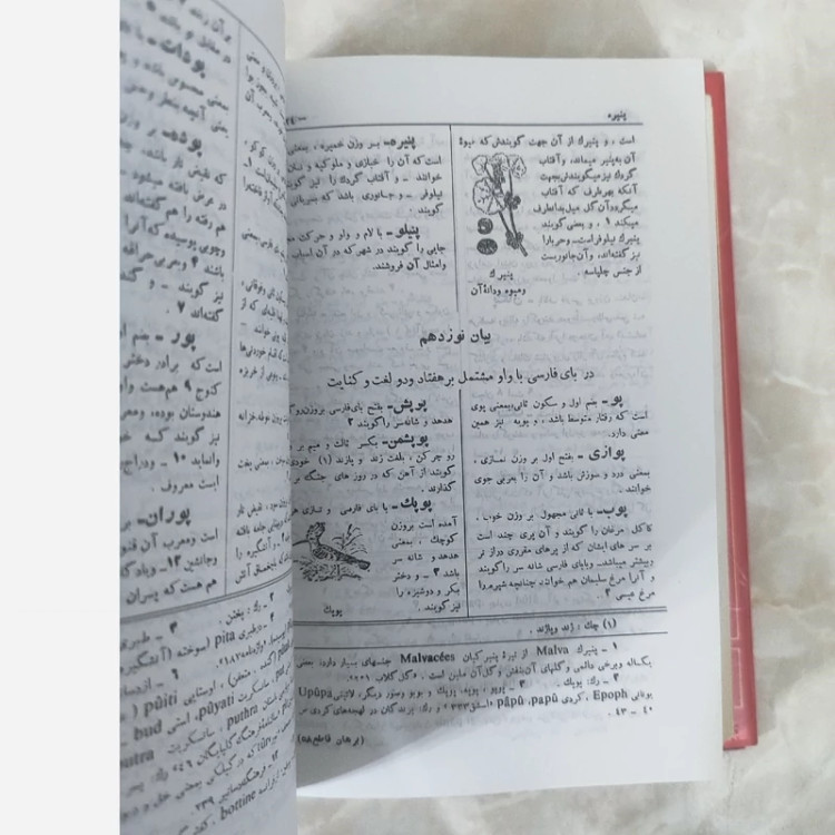 کتاب برهان قاطع (5جلدی) نشر امیرکبیر