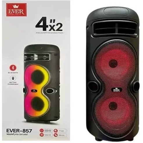اسپیکر دی جی خونه ای ever 857