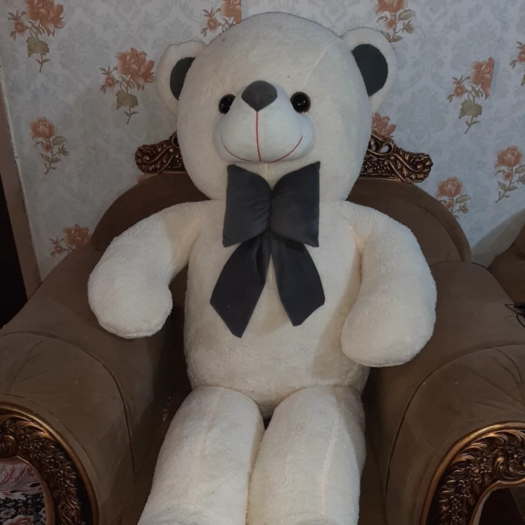 عروسک خرس ، شاسخین خرسی