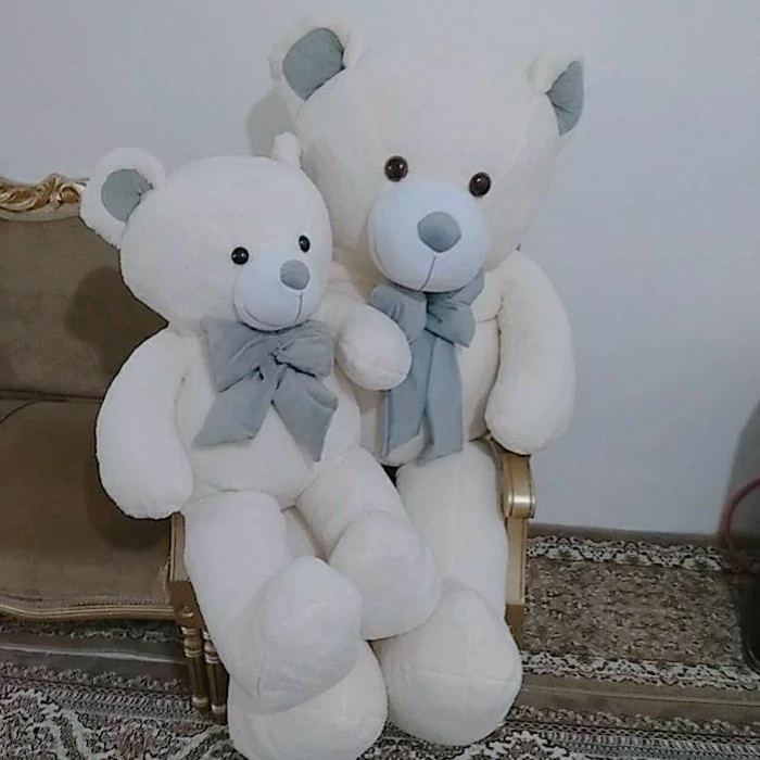 عروسک خرس ، شاسخین خرسی