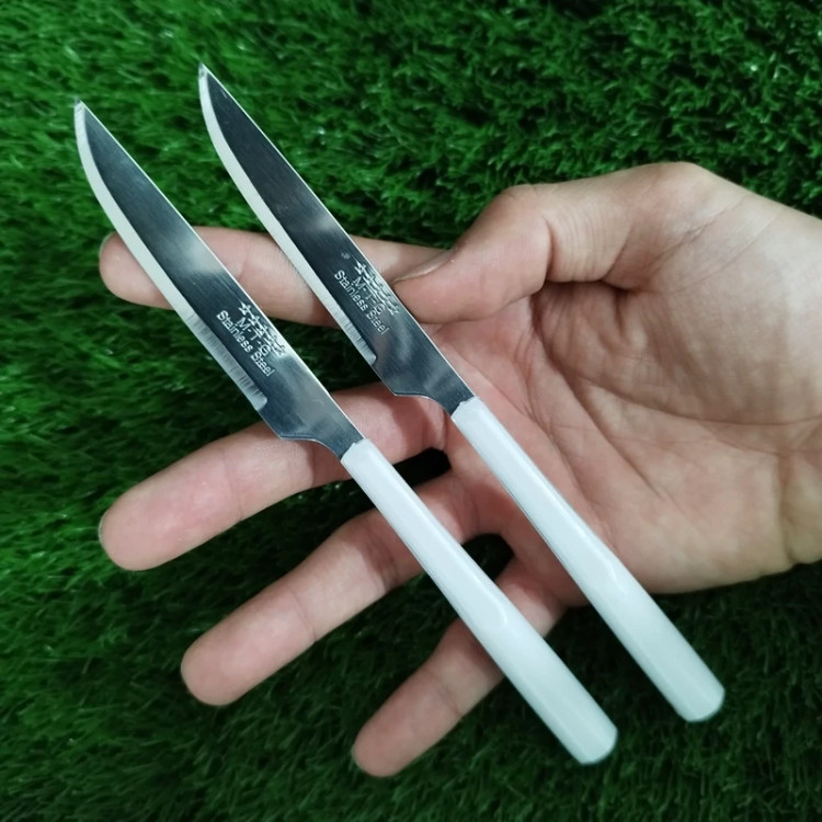 چاقو میوه خوری MTG باکسی مدل 1480 کد 2 بسته 12 عددی با ارسال رایگان