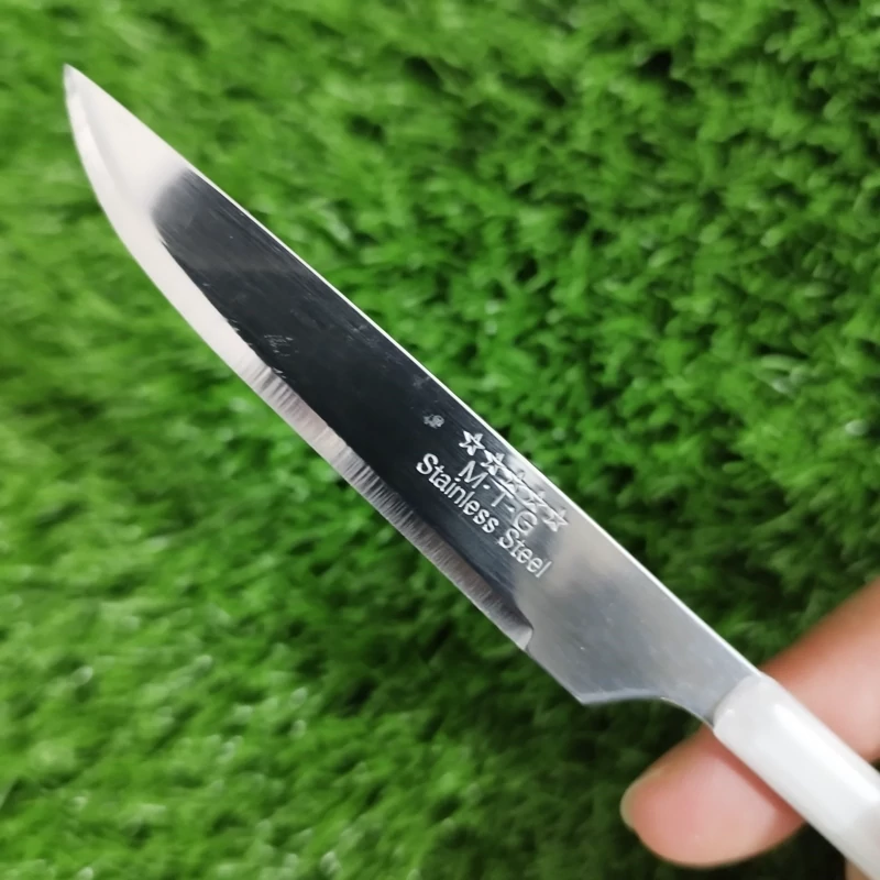 چاقو میوه خوری MTG باکسی مدل 1480 کد 2 بسته 12 عددی با ارسال رایگان