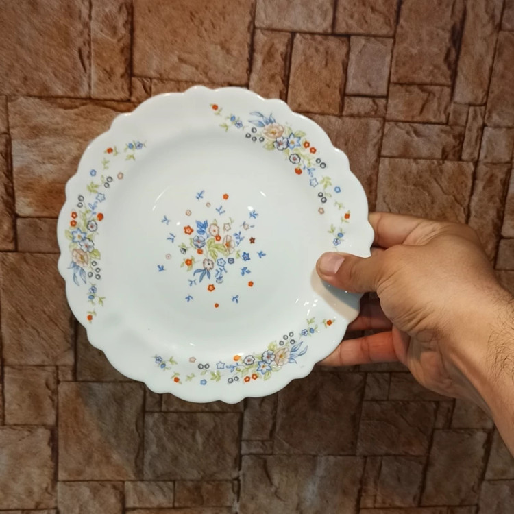 پیش دستی آرکوپال 6 عددی ویکتوریا ایرانی با ارسال رایگان