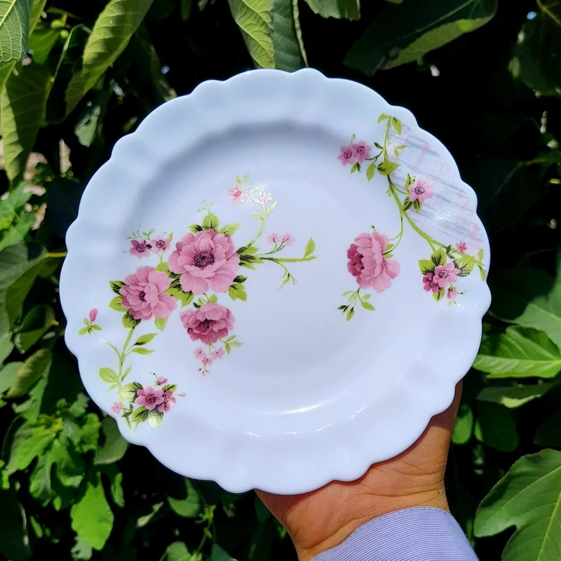 پیش دستی آرکوپال 6 عددی طرح سارای IROPAL با ارسال رایگان