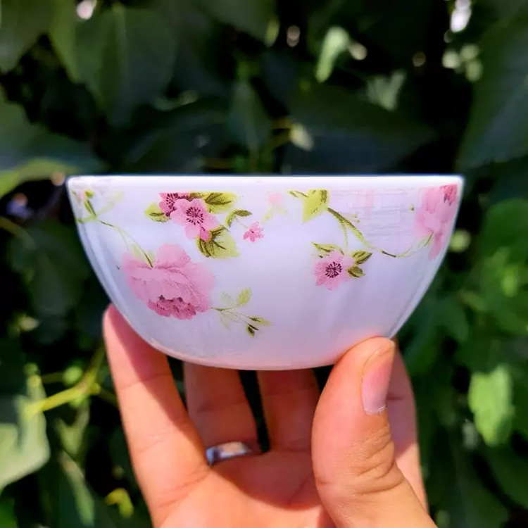 پیاله ماست و ترشی 6 عددی آرکوپال طرح سارای IROPAL با ارسال رایگان