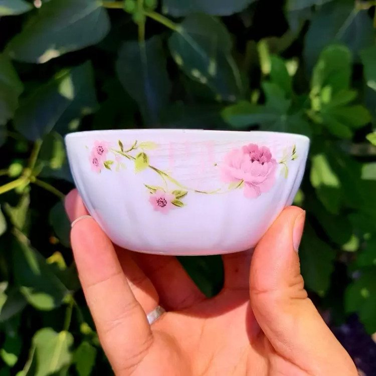 پیاله ماست و ترشی 6 عددی آرکوپال طرح سارای IROPAL با ارسال رایگان