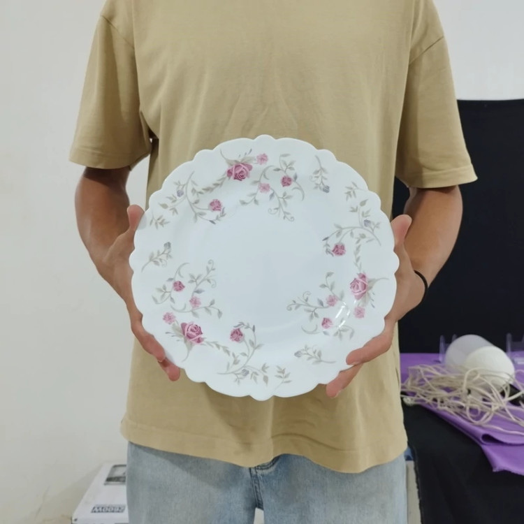 بشقاب پلوخوری سایز 27 آرکوپال رستا صورتی بسته 6 عددی ارسال رایگان