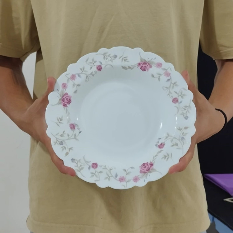 بشقاب خورشت خوری سایز 23 آرکوپال رستا صورتی بسته 6 عددی ارسال رایگان