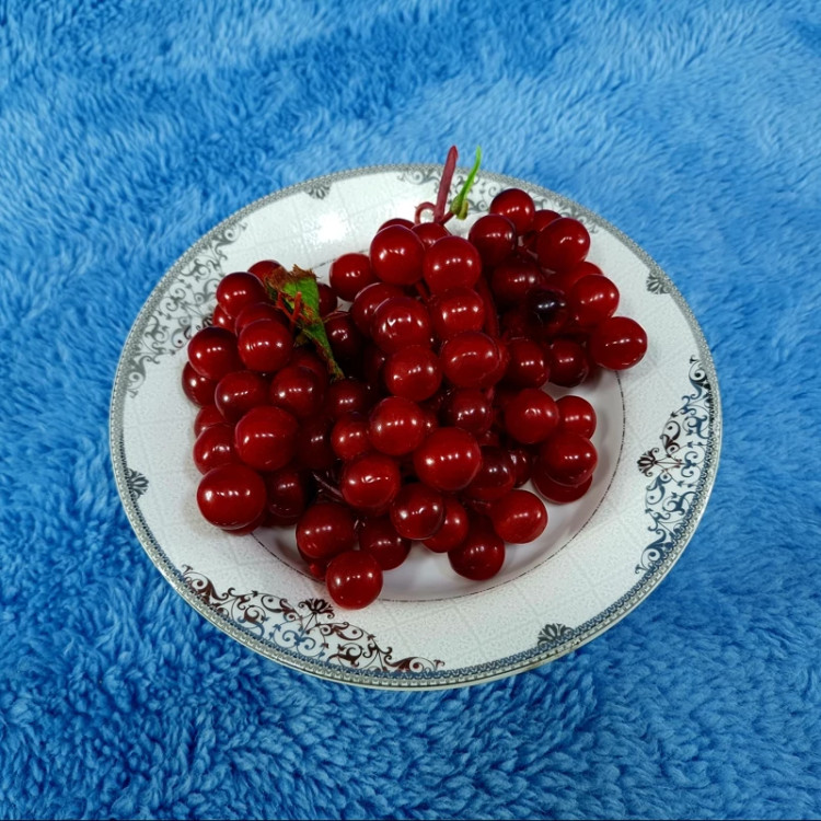 بشقاب خورش خوری سایز 21 چینی پارس کد 533 در بسته 6 عددی