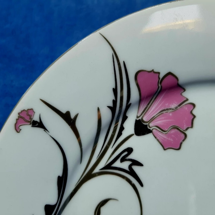 بشقاب پلوخوری سایز 24 چینی پارس کد 974 در بسته 6 عددی
