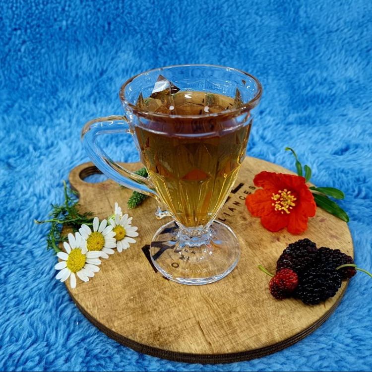 ماگ کوچک برمودا کد 59105 بسته 6 عددی ارسال رایگان