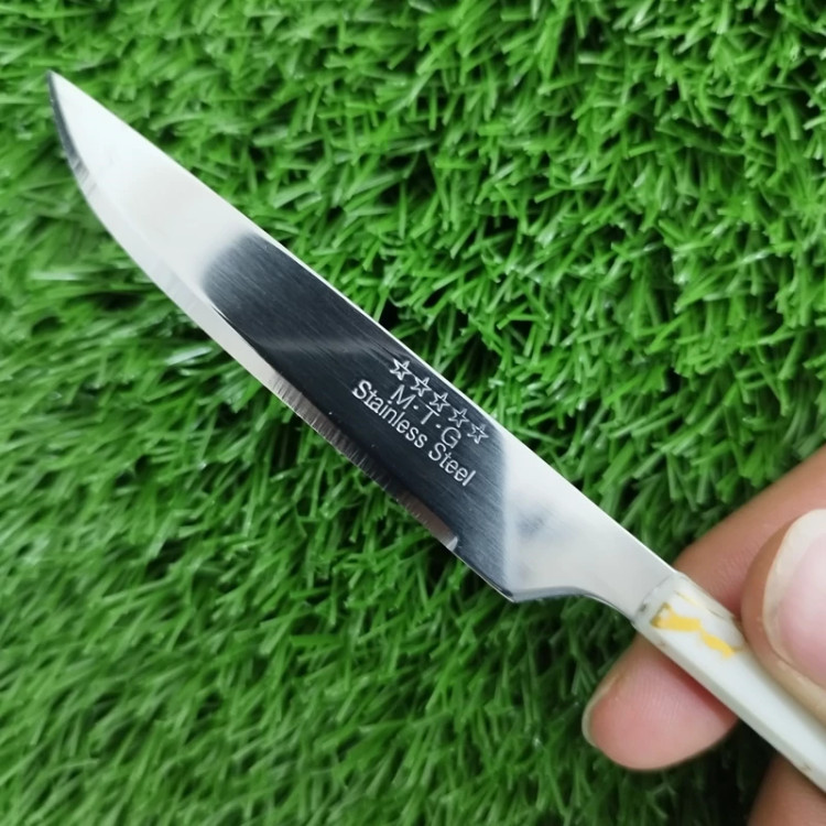 چاقو میوه خوری MTG باکسی مدل 1480 کد 1 بسته 12 عددی با ارسال رایگان