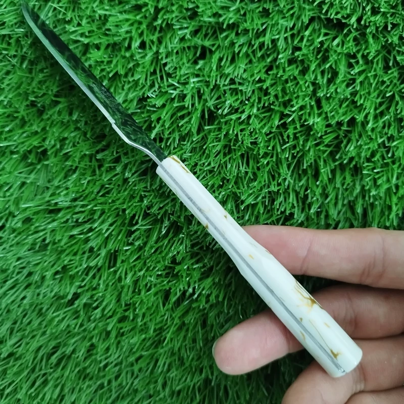 چاقو میوه خوری MTG باکسی مدل 1480 کد 1 بسته 12 عددی با ارسال رایگان